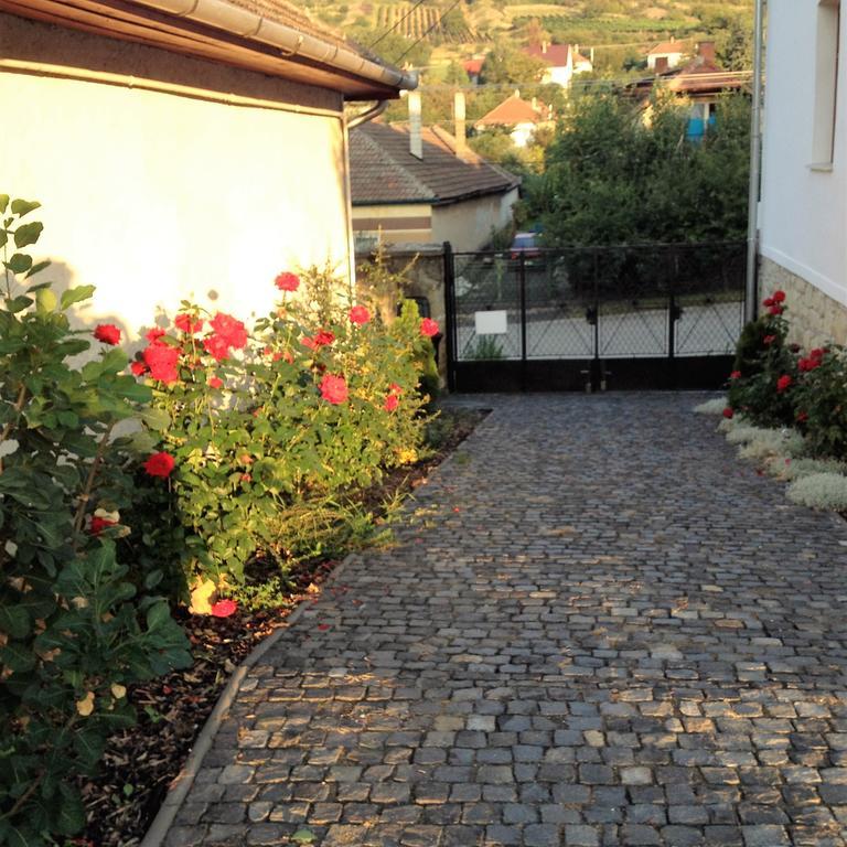 Uragya Vendeghaz Hotel Mád Exterior foto